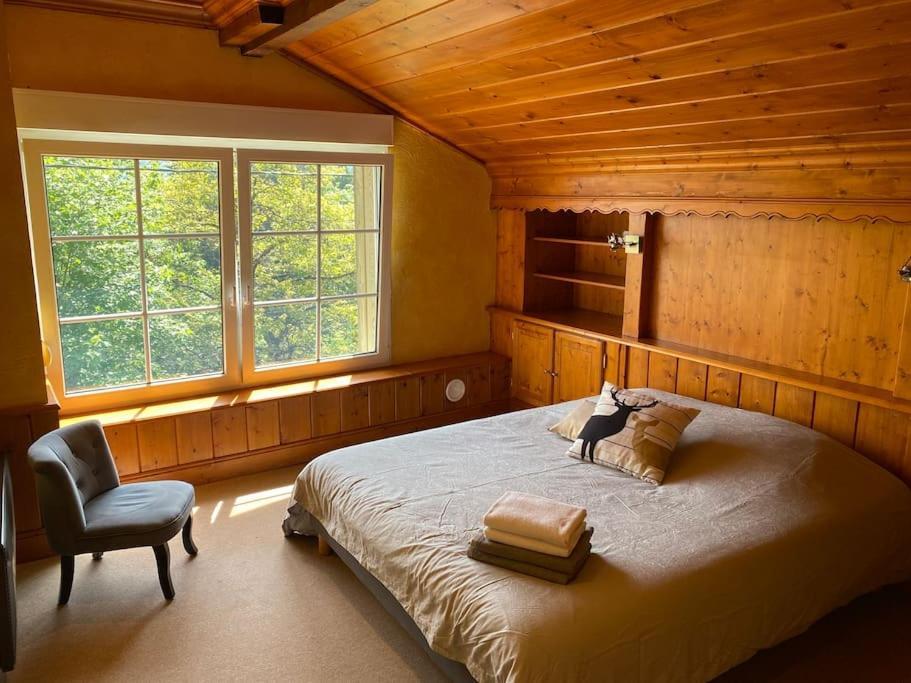 Ferme De Chenezeau - 15 Personnes , 7 Chambres Gérardmer Buitenkant foto