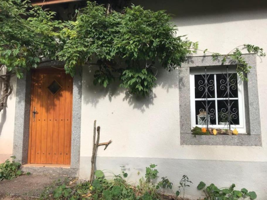 Ferme De Chenezeau - 15 Personnes , 7 Chambres Gérardmer Buitenkant foto